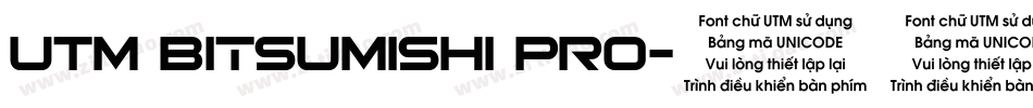 UTM Bitsumishi Pro字体转换